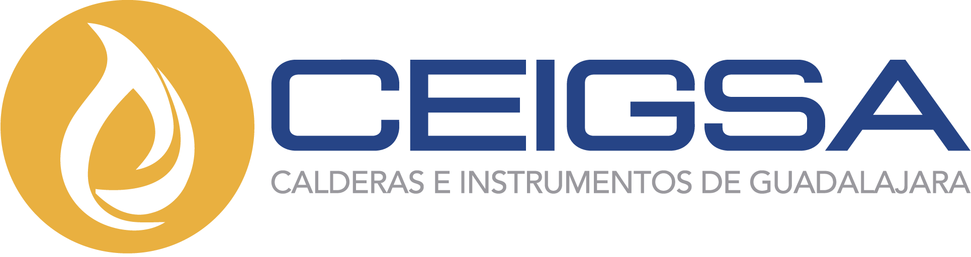 CEIGSA.COM